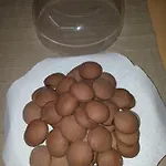 Tambien Pesaro